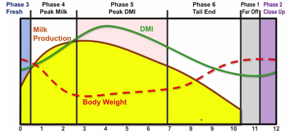 Managing And Driving Dry Matter Intake Hubbard Feeds